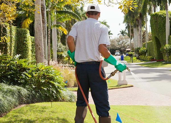 About Honeoye Falls NY Pest Control